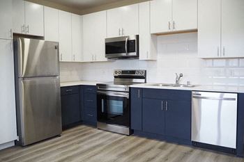 Gourmet kitchens with stainless steel appliances